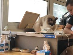 -灯塔咖啡馆BOOK·Coffee Shop