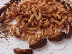 蚕蛹-聚丰园.百年传承(五爱广场店)