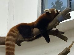 -杭州野生动物世界