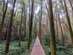 -同里国家湿地公园