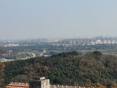 -上海佘山国家森林公园西佘山园