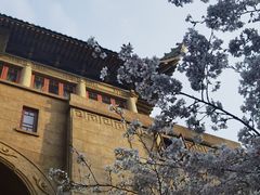-武汉大学-樱园