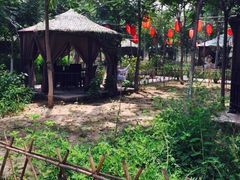草根堂农场-草根堂农场