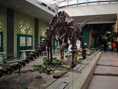 -自贡恐龙博物馆