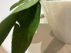 -纯味斑鱼府(上海总店)