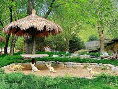 -北京野生动物园