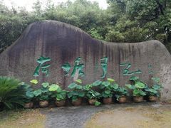 -荷塘月色湿地公园·向阳花洲