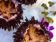 -旅南活海鲜-屏东(墾丁海鮮，海鮮餐廳，墾丁團體合菜，平價熱炒，墾丁熱炒店，活海鮮推薦，在地海鮮餐廳)