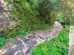 -秦岭终南山世界地质公园翠华山景区