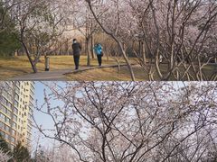 -碑林公园
