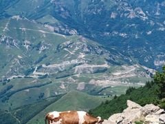 -灵山