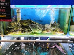 水产区-船梆煮•蒸汽海鲜·炉火烤肉(五四广场店)