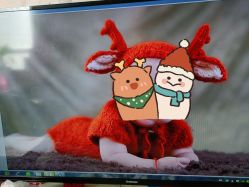 点击看大图 -童影世家儿童摄影(梨园店)