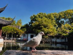 -西园戒幢律寺