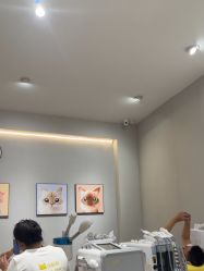 -洗脸猫·洗脸吧