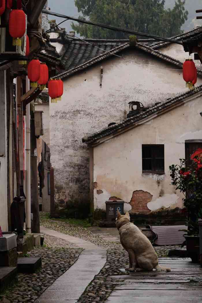 芝堰古村-"93位置:浙江省金华市兰溪市黄店镇芝堰村.