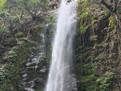 -莫里热带雨林景区