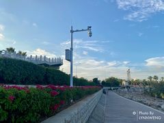 -宝安西湾红树林湿地公园