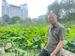 -莲湖公园