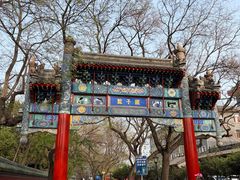 -北京国子监胡同