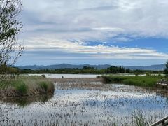 -野鸭湖国家湿地公园