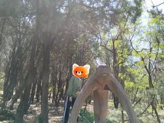 -贮水山儿童公园