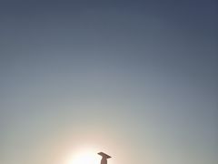 -秦始皇帝陵博物院(兵马俑)