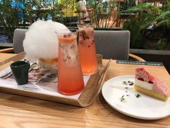 -悦诗风吟innisfree