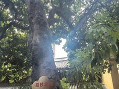 -开元寺
