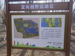 -大兴滨河森林公园
