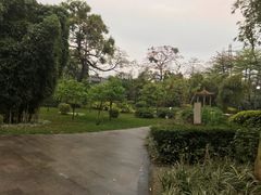 -晓港公园