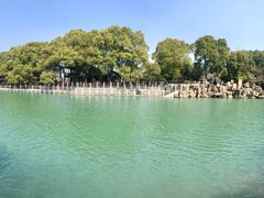 -白马涧龙池景区