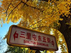 -三里屯东五街银杏大道