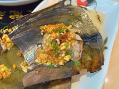 蒜蓉粉丝烧大号带子-大院涮烤·东北经典老味烧烤·铜锅涮肉(江南东路店)