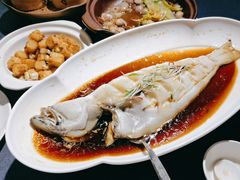 -金狮麟·新豫菜(金码大厦店)