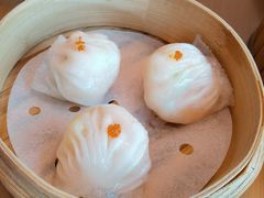 -同禧荟·港味海鲜火锅·粤菜(三亚湾店)