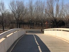 -东郊湿地公园