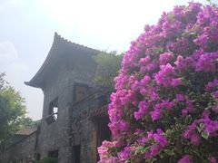 -东莞市可园博物馆