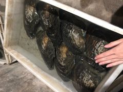 -贤鲁岛贤溪农庄