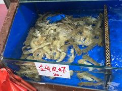 水产区-张树军海鲜(王府壹号店)