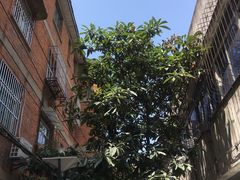 -小朱麻辣串(益民街店)
