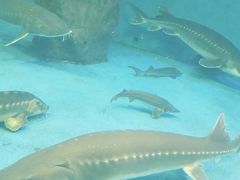 -多彩贵州城极地海洋世界