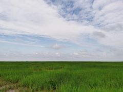-小洋口旅游度假区