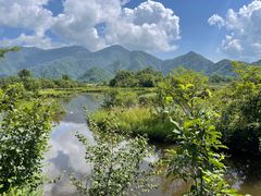 -大九湖