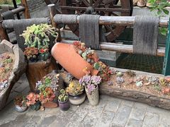 -慢丽江·云南野生菌土鸡锅(西山店)