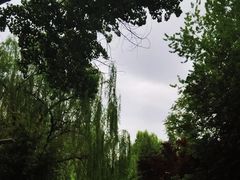 -仁和公园(顺义区)