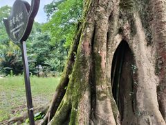 -福清灵石山国家森林公园