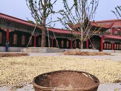 -皇罗禅寺