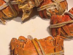 -杨氏青龙虾·羊蝎子(金盛路总店)
