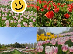 -北京国际鲜花港